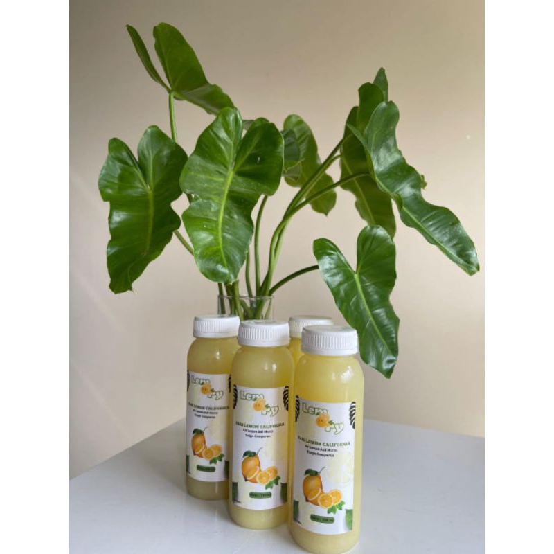 

Lemory 100% Sari Lemon