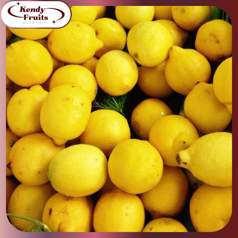 

JERUK Lemon/Lemon Import | Buah Segar Sehat Fresh