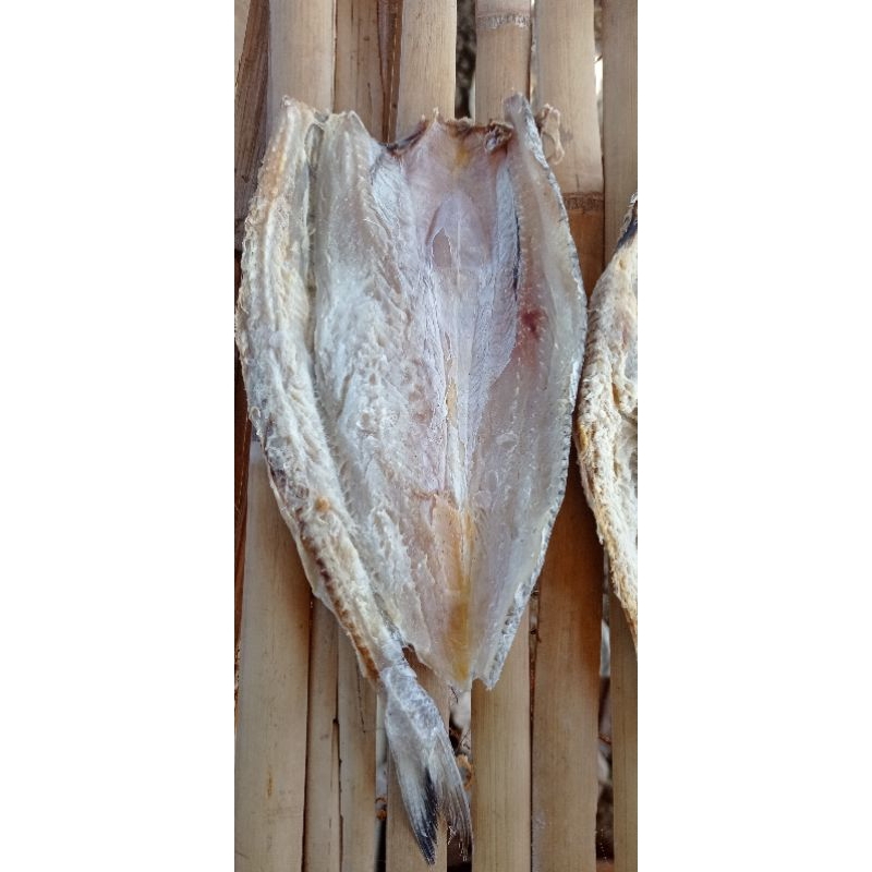 

Ikan gabus laut/bloso asin/jenggalak asin isi 250gr