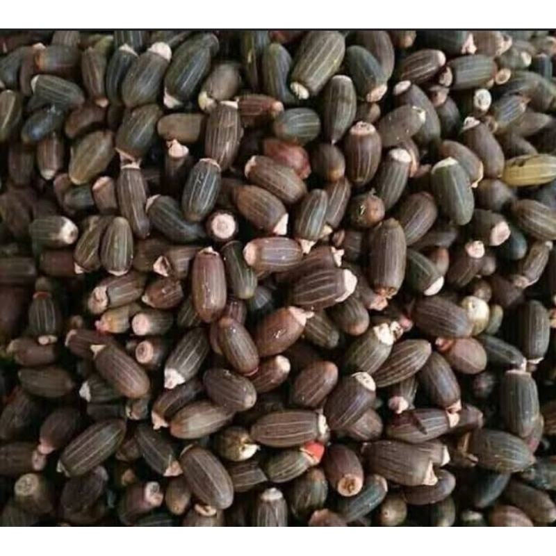 

BIJI MELINJO KUPAS /BUAH MELINJO 100%ORIGINAL PER(500GRM)