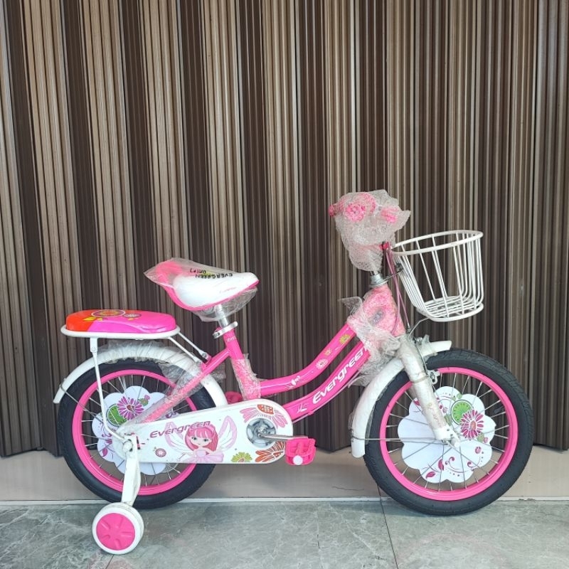 MINI 12 16 18 EVERGREEN DAISY