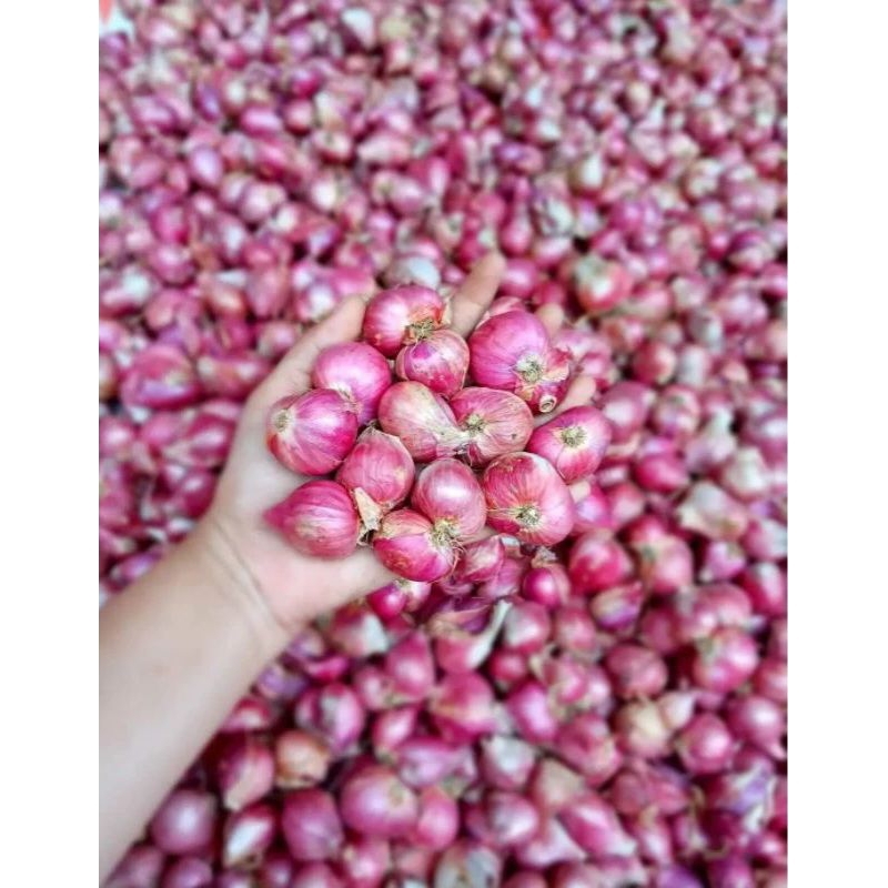

BAWANG MERAH KERING 500 GRAM