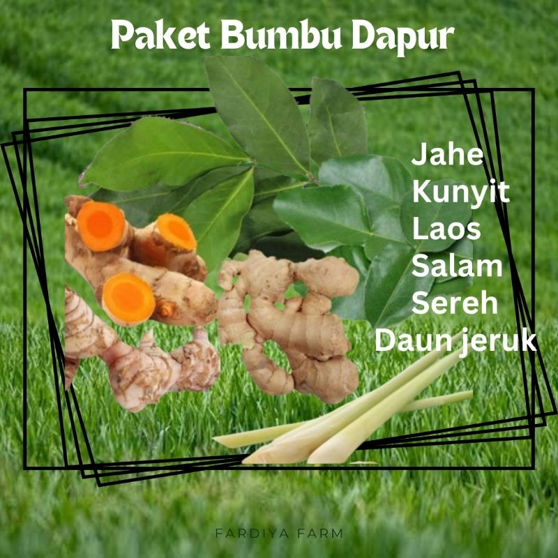 

paket Bumbu dapur jahe kunyit Laos sereh salam daun jeruk 250-300gr