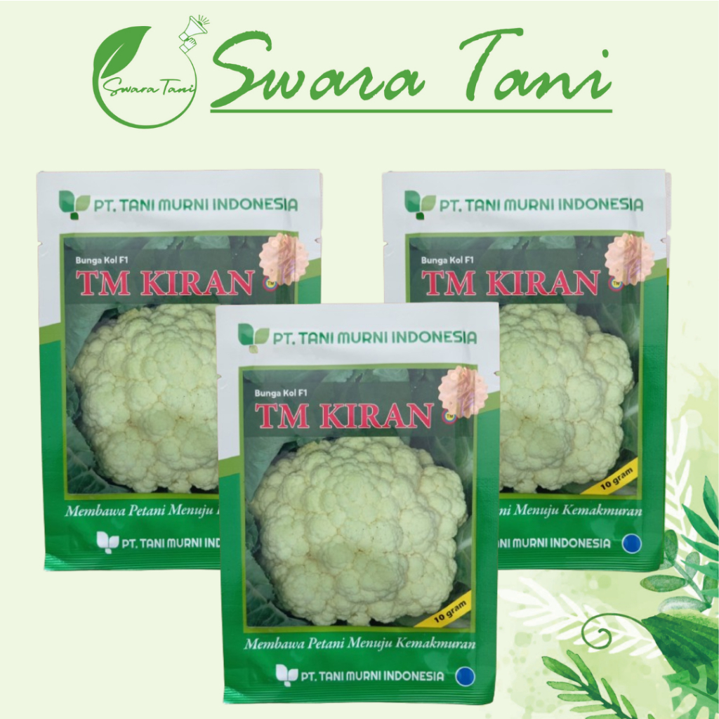 {Termurah} Benih Bunga Kol F1 TM KIRAN Kemasan 10gram