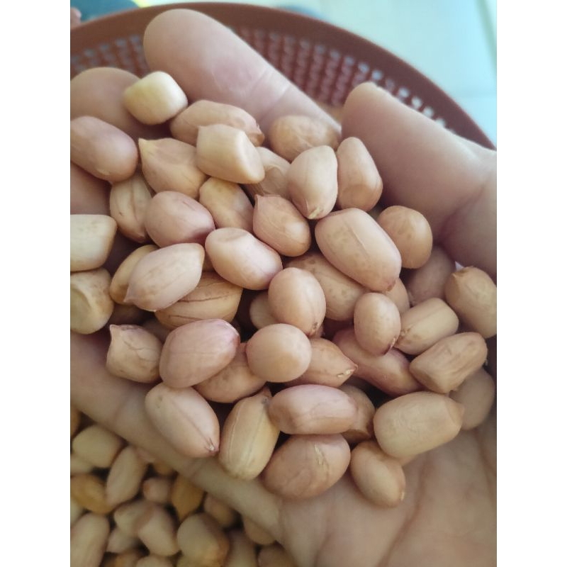 

Kacang tanah lokal PREMIUM RASA MANIS 1kg