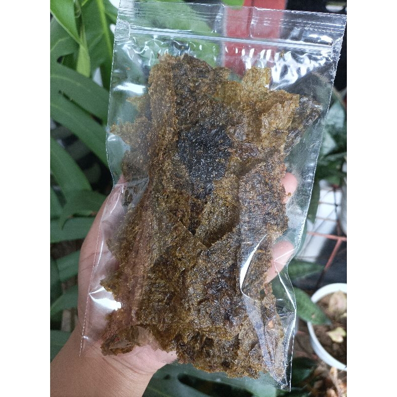 

Rumput Laut || Nori || Cemilan Sehat || Cemilan Rumput Laut