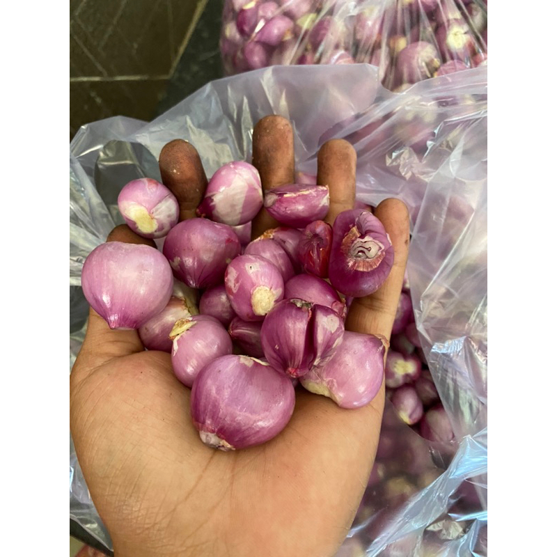 

bawang merah dan putih kupasan