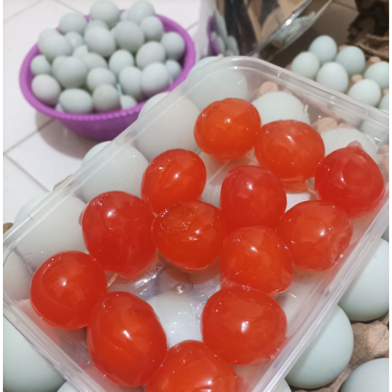 

FRESH -15 Butir Kuning Telur Asin Merah Manik Ukuran Besar