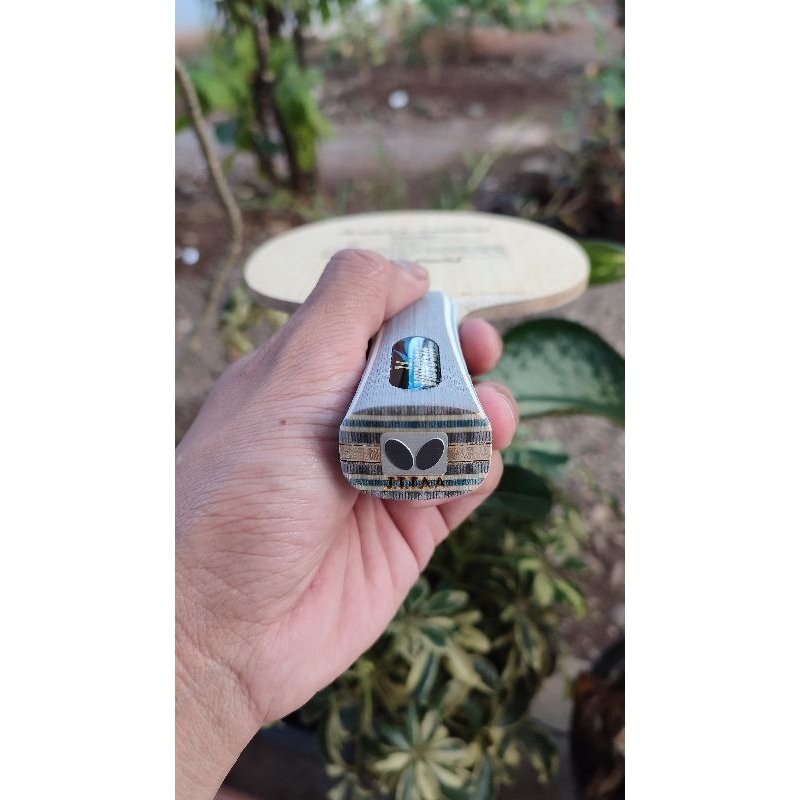 Bet Butterfly Viscaria Fish scale Second bagus