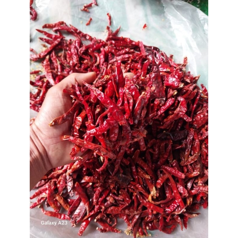 

CABE RAWIT TEJA KERING SUPER PEDAS/ PROMO MURAH COD