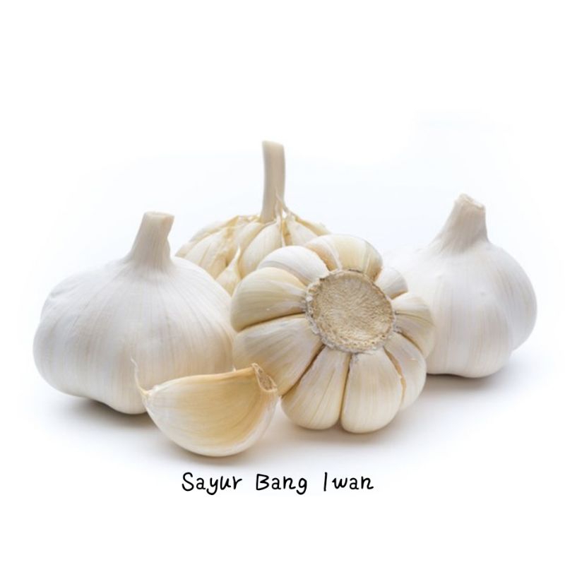 

Bawang Putih Murah - Sayur Segar Setiap Hari