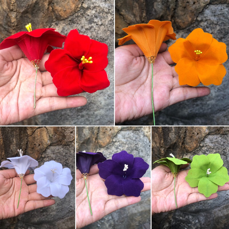 PUCUK MERAH UDENG/ PUCUK ARJUNA / PUCUK BELUDRU