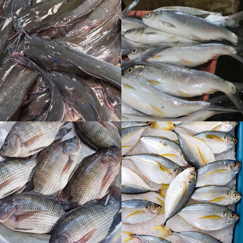 

Aneka Ikan Segar 500 gram