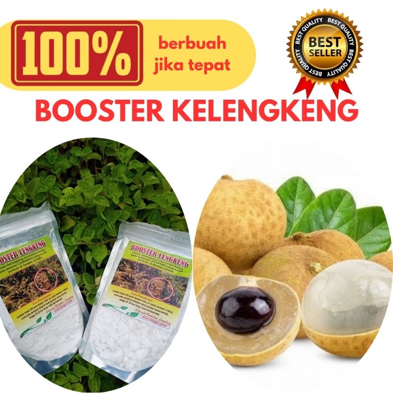 GARANSI ASLI Booster Kelengkeng Asli, Booster Kelengkeng Terbaik