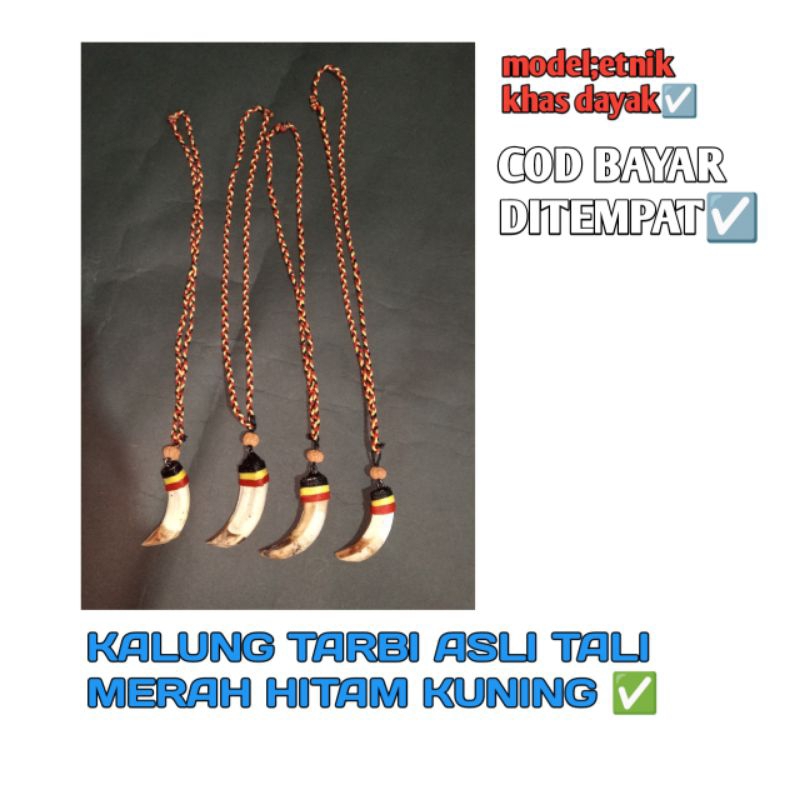 kalung tarbi asli kalimantan
