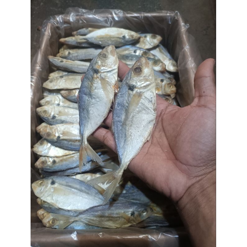 

IKANASIN PEDA SELAR , IKANASIN SELAR BELITUNG . IKANASIN PEDA SELAR FRESH ; 1000.gr