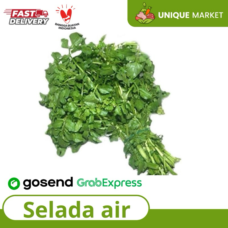 

Selada Air (1 Ikat)