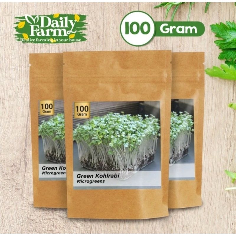Benih Sayur Microgreen Green Kohlrabi Microgreen ( 100 Gram )