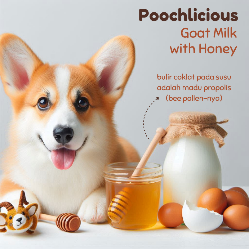 ady78 Poochlicious Goat Milk / Susu Kambing Anjing / Susu Kambing Bubuk / Goat Milk Bubuk Anjing
