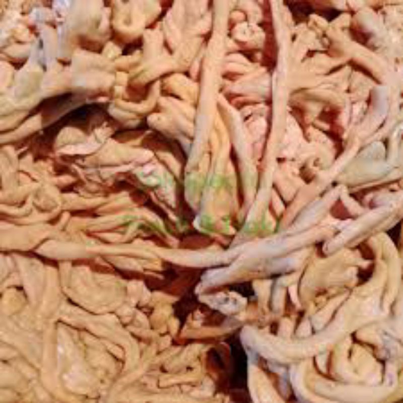 

usus rebus