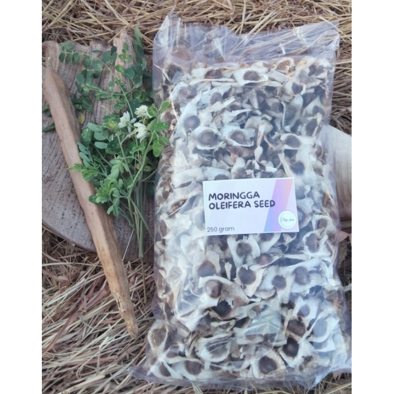 

Butterfly Moringga oleifera seed 250 gram || biji kelor bersayap || biji kelor kering pohon