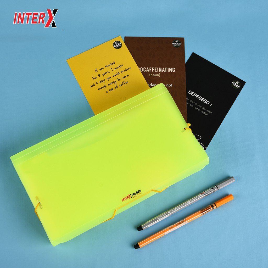 

InterX Expanding Cheque size Tali EFX303C