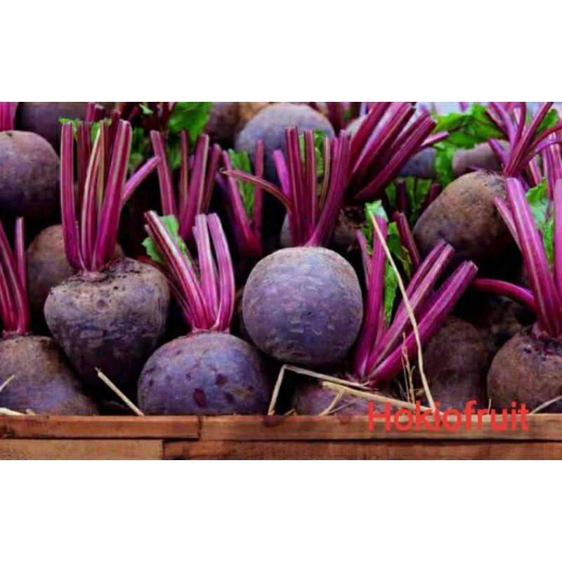 

Buah Bit ❤️ Hokiofruit ❤️