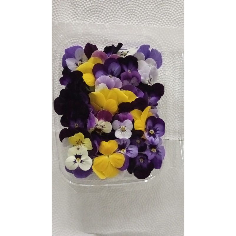 

Edible Flower Viola
