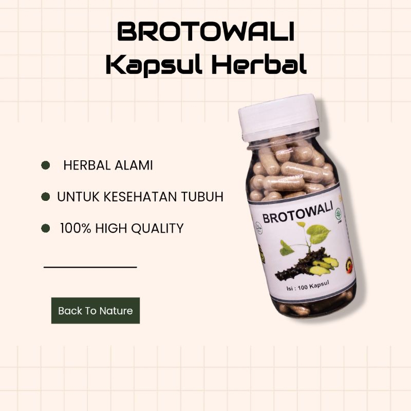 

Kapsul Brotowali Herbal Gatal / Penyakit Kulit isi 100 Kapsul