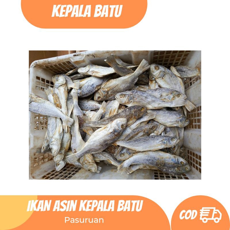 

Ikan Asin Kepala Batu / Ikan Asin Sileman Kualitas Super