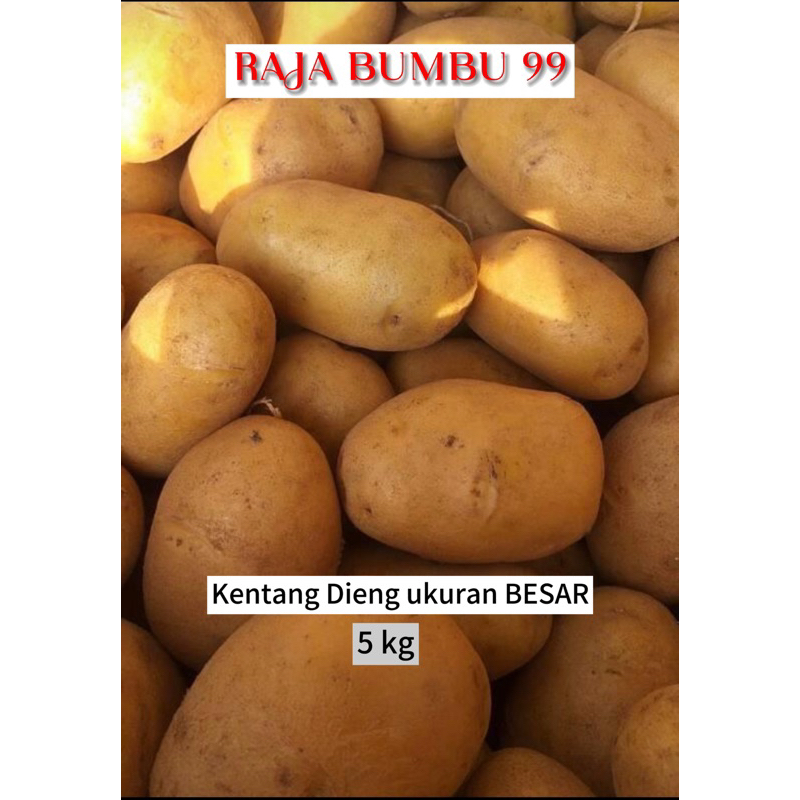 

KENTANG DIENG ASLI ukuran BESAR GROSIR 5kg