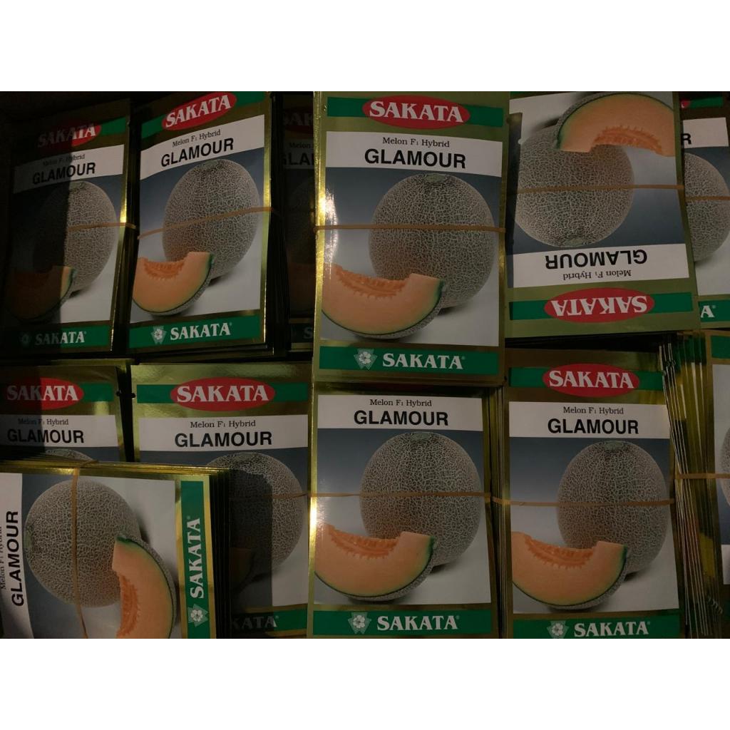 benih bibit melon orange sakata