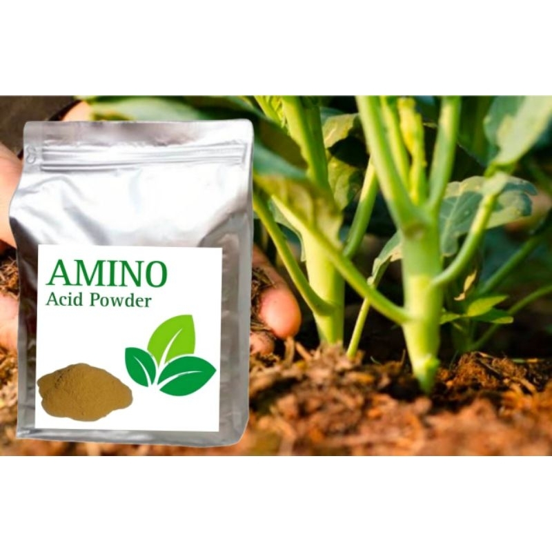 Asam Amino Powder khusus tanaman