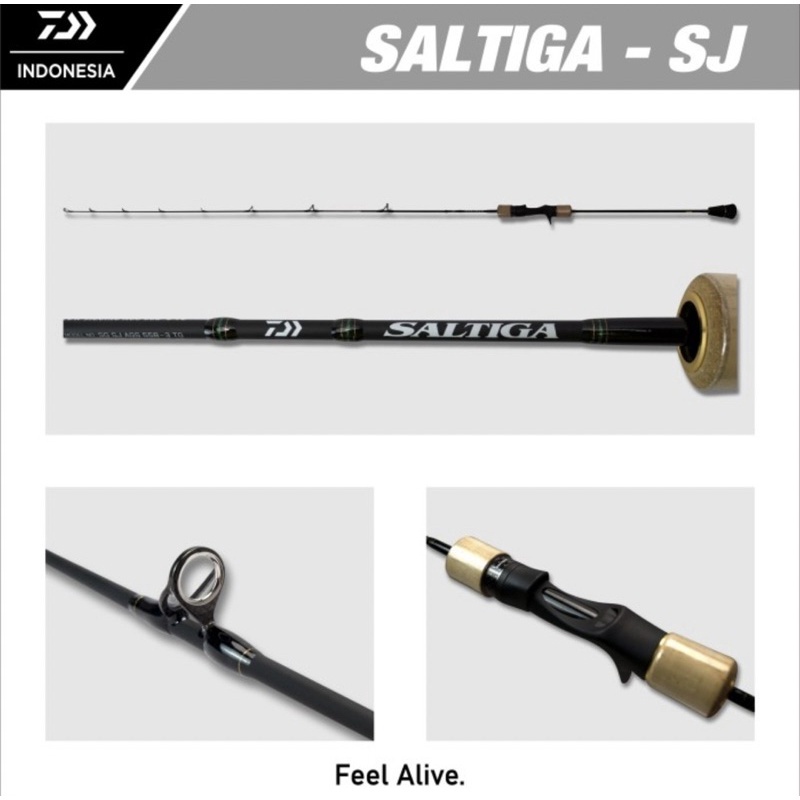 JORAN OH DAIWA SALTIGA SLOW JIGGING AGS 55B-4 TG | CASTING | OVERHEAD