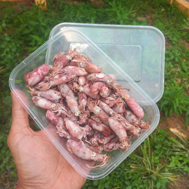 

Cumi Asin Quality Premium