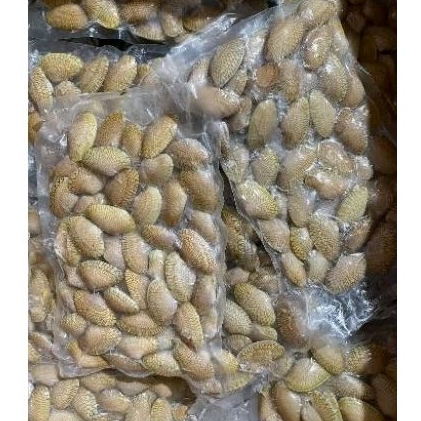 

KERANG BATIK 1 KG