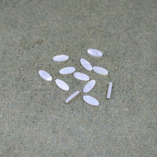 Inlay Oval Penanda Fretboard Gitar Dan Bass