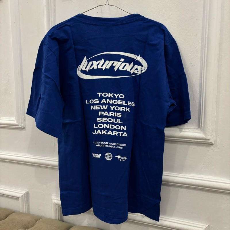 Luxurious Oversized Tshirt [Preloved]