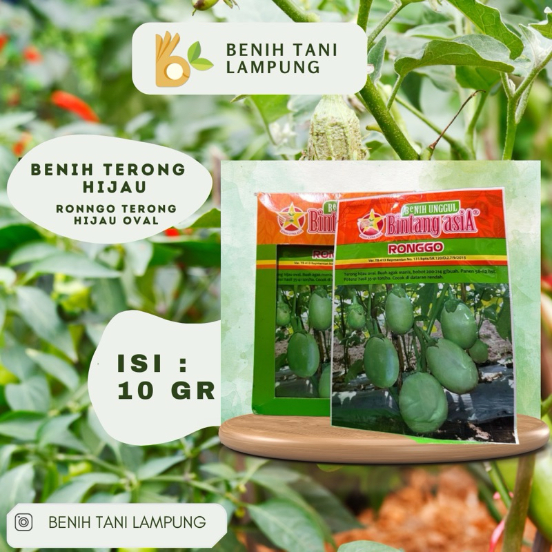 

Benih Terong Pondoh Ronggo Bintang Asia 10gr