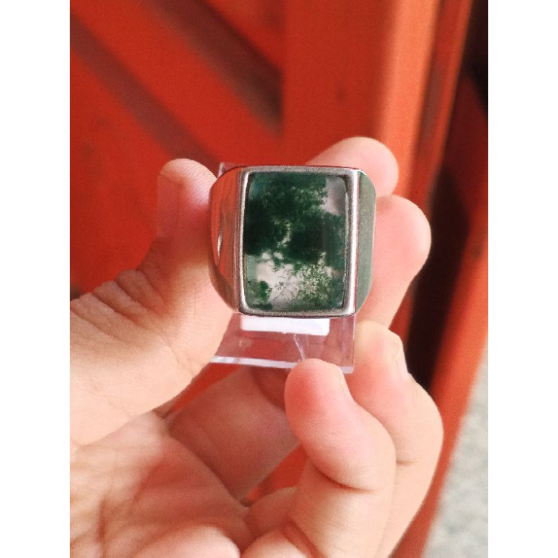 Lumut suliki kristal ring petak