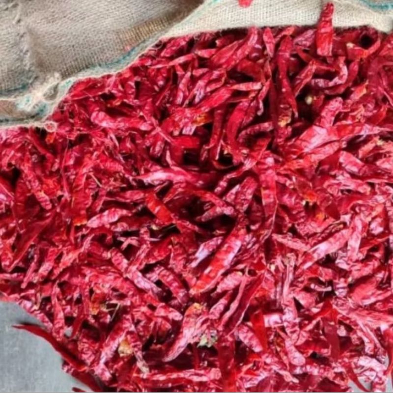 

lombok kering pasar kota samarinda