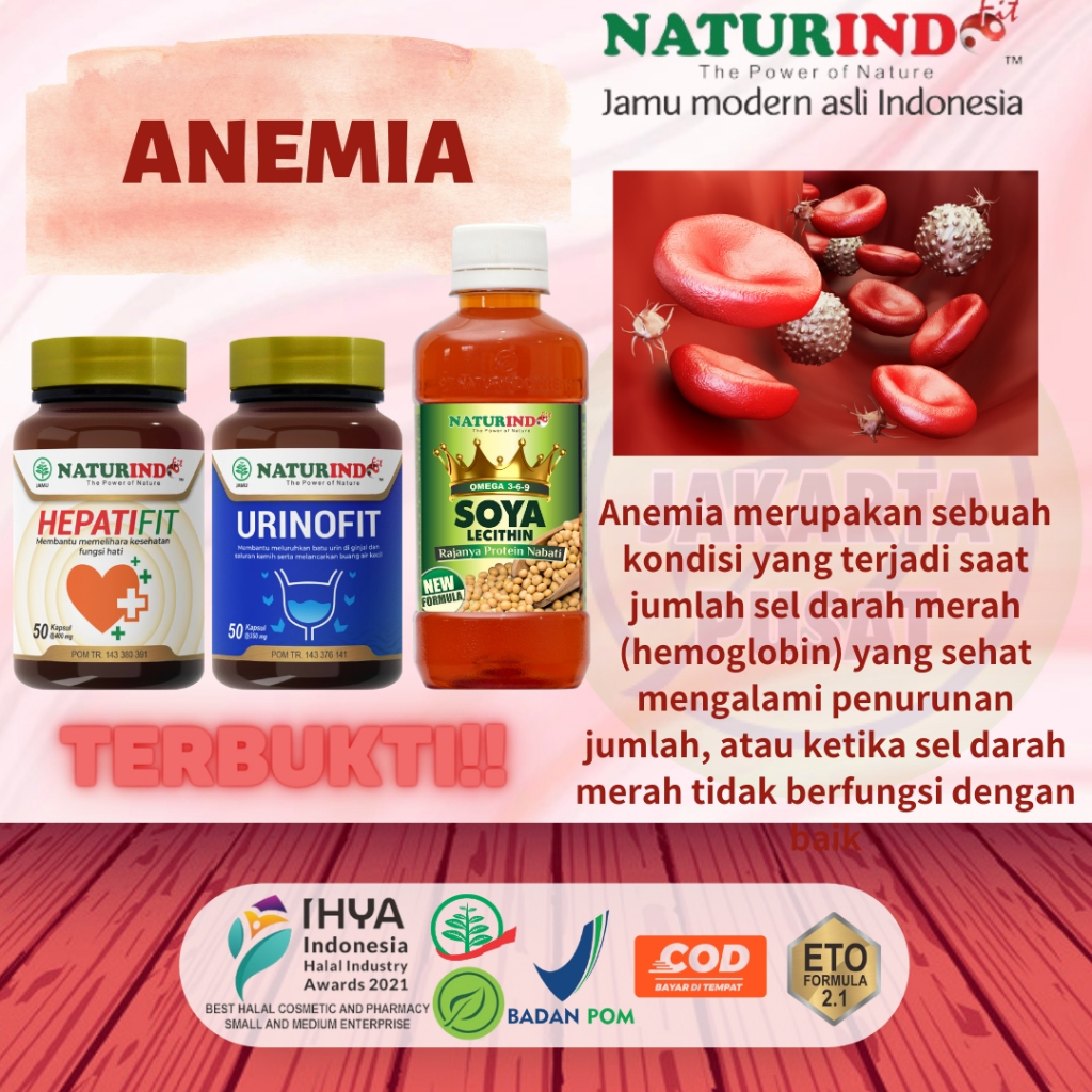 Paket Lengkap Anemia Kurang Darah Lemas Letih Lesu Mau Pingsan Herbal naturindo