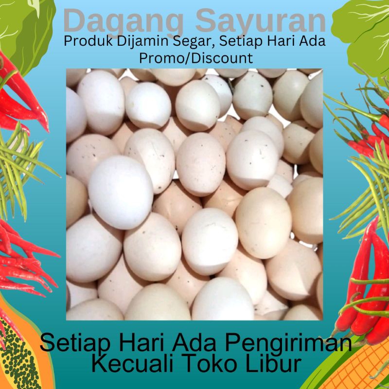 

TELUR AYAM KAMPUNG/TELOR AYAM KAMPUNG ASLI ORGANIK/JUAL TELOR/DAGANG TELOR/PENJUAL TELOR/PEDAGANG TELOR/PEDAGANG TELUR/JUAL SEMBAKO/DAGANG SEMBAKO/PEDAGANG SEMBAKO/PENJUAL SEMBAKO/DAGANG SAYURAN/SERPONG/BSD/BINTARO/CIPUTAT/TANGERANG SELATAN/TANGSEL