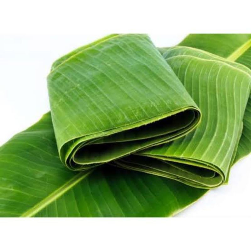 

daun pisang kluthuk segar per ikat