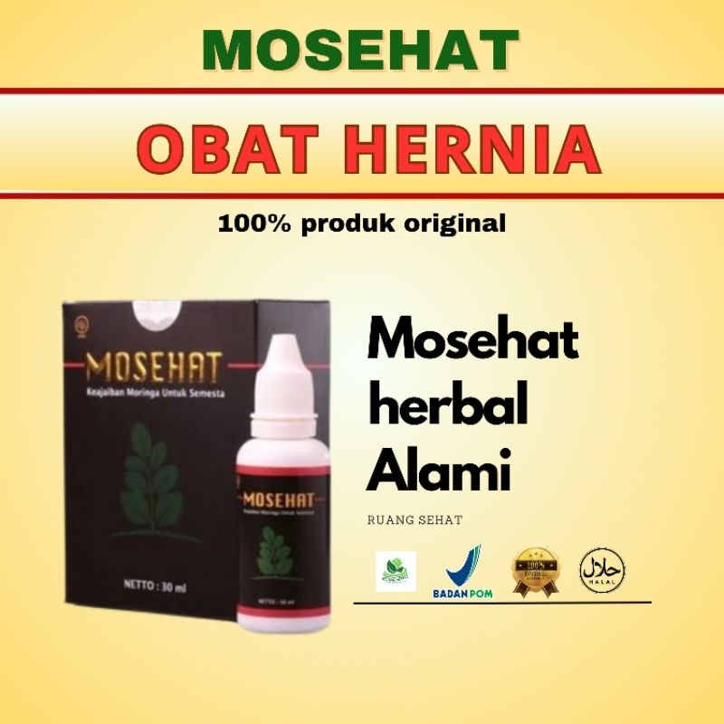 Obat Hernia Mosehat Herbal Alami Original BPOM Ampuh Berkhasiat