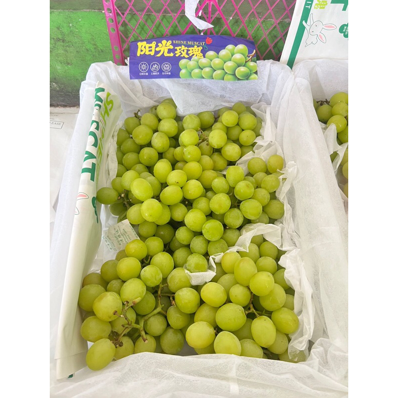 

anggur muscat 1 pack 500 gram