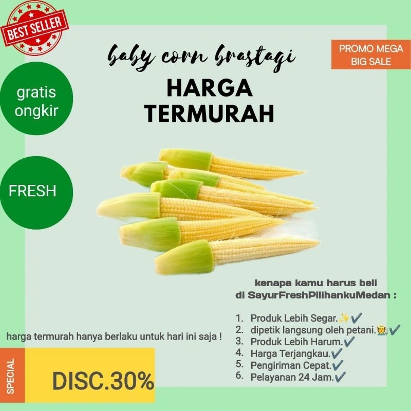 

promo termurah jagung muda (baby corn)asli brastagi dipanen langsung oleh petani brastagi ready stok siap kirim gratis ongkir