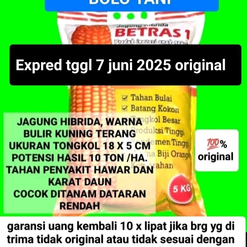 benih jagung Hibrida Betras bibit 1 kemasan 5kg exp tggl 07 06 2025 original