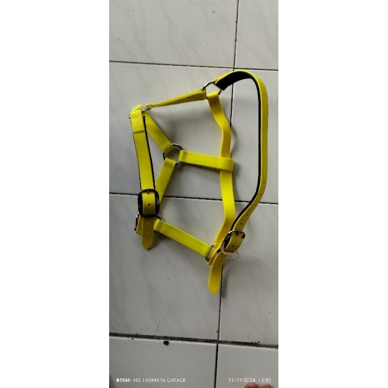 herlter kuda borongsong kuda tali kekang kuda ori zilco