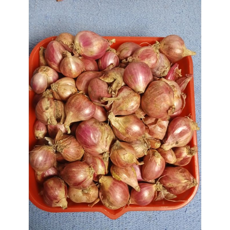 

Bawang Merah Super 1 Kg